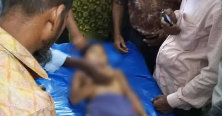 সাপের কামড়ে প্রাণ গেলো শিশুর
